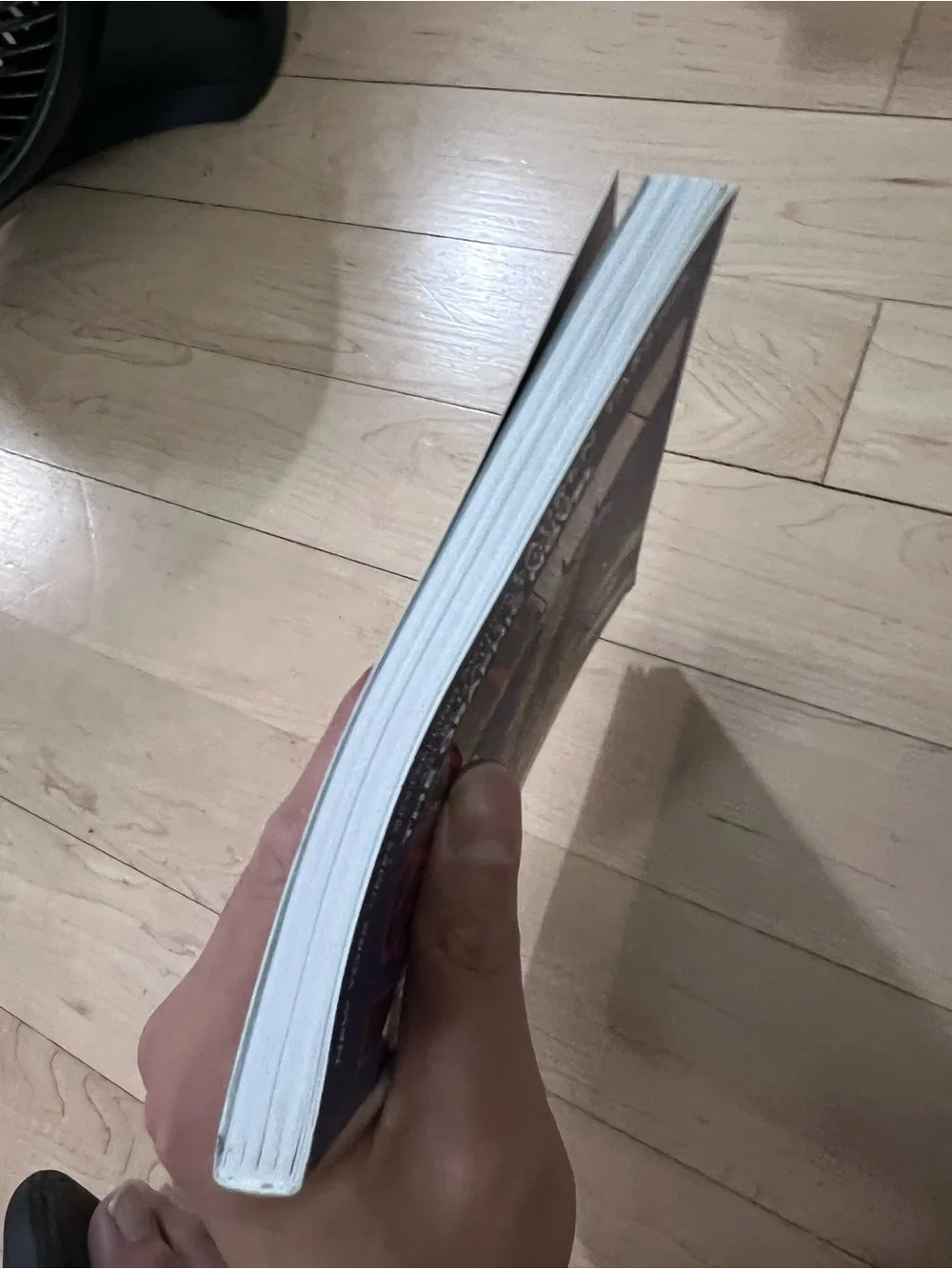 I Survived Graphic Novel